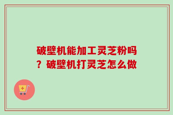 破壁机能加工灵芝粉吗?破壁机打灵芝怎么做