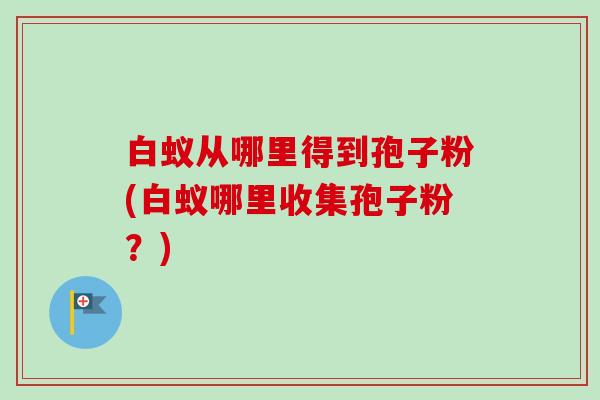 白蚁从哪里得到孢子粉(白蚁哪里收集孢子粉?)