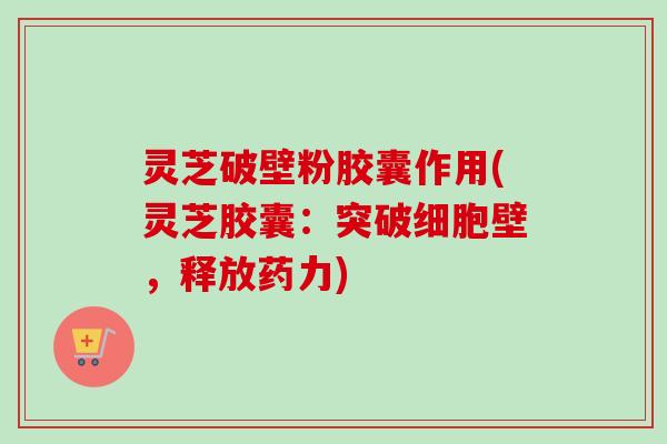 灵芝破壁粉胶囊作用(灵芝胶囊:突破细胞壁,释放药力)