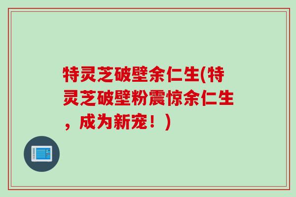 特灵芝破壁余仁生(特灵芝破壁粉震惊余仁生，成为新宠！)