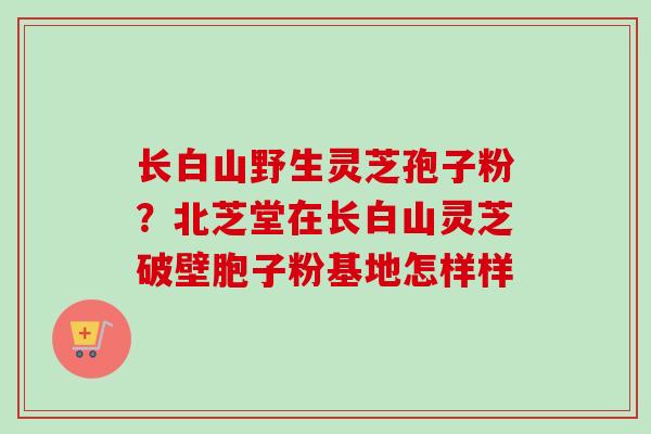长白山野生灵芝孢子粉?北芝堂在长白山灵芝破壁胞子粉基地怎样样