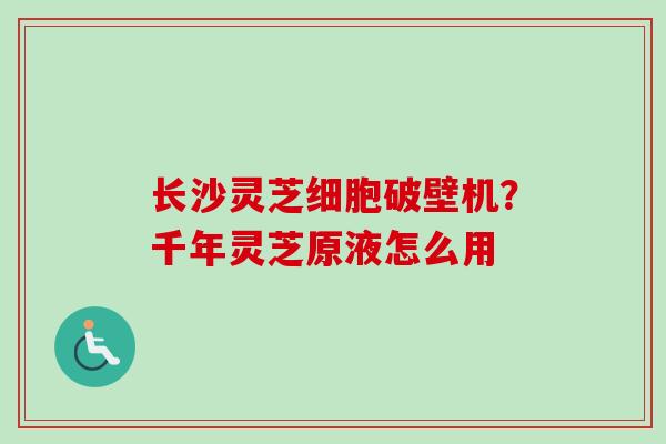 长沙灵芝细胞破壁机?千年灵芝原液怎么用