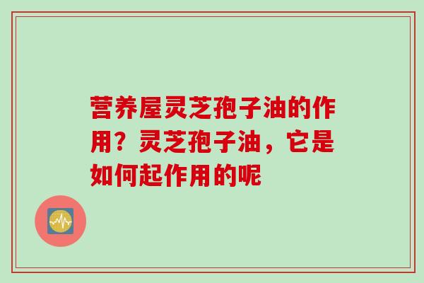 营养屋灵芝孢子油的作用?灵芝孢子油,它是如何起作用的呢