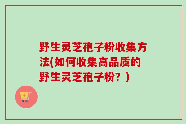 野生灵芝孢子粉收集方法(如何收集高品质的野生灵芝孢子粉？)