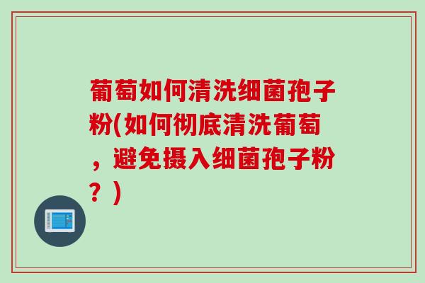 葡萄如何清洗细菌孢子粉(如何彻底清洗葡萄，避免摄入细菌孢子粉？)