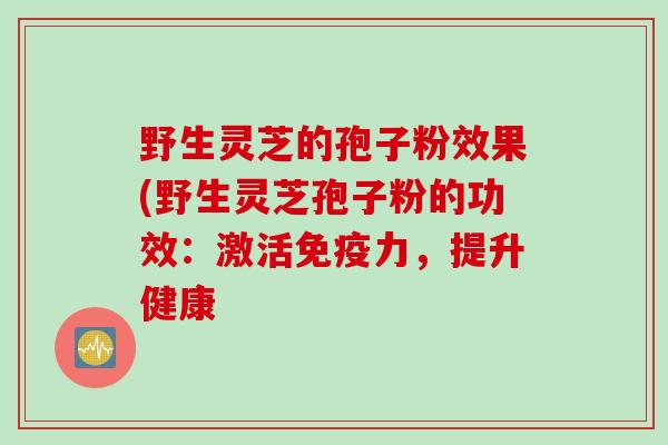 野生灵芝的孢子粉效果(野生灵芝孢子粉的功效:激活免疫力,提升健康