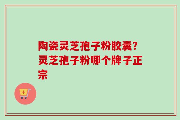 陶瓷灵芝孢子粉胶囊？灵芝孢子粉哪个牌子正宗