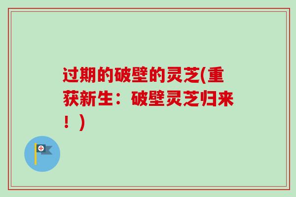 过期的破壁的灵芝(重获新生:破壁灵芝归来!)