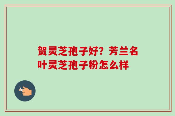 贺灵芝孢子好？芳兰名叶灵芝孢子粉怎么样