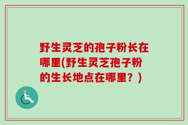 野生灵芝的孢子粉长在哪里(野生灵芝孢子粉的生长地点在哪里？)