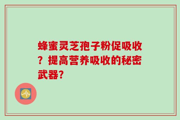 蜂蜜灵芝孢子粉促吸收？提高营养吸收的秘密武器？