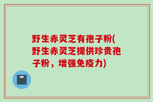 野生赤灵芝有孢子粉(野生赤灵芝提供珍贵孢子粉,增强免疫力)