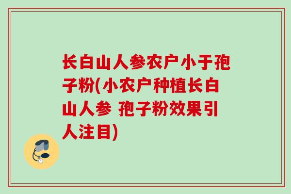 长白山人参农户小于孢子粉(小农户种植长白山人参 孢子粉效果引人注目)