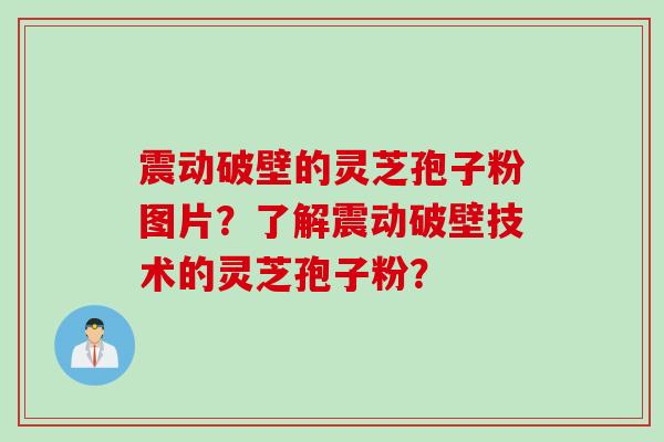 震动破壁的灵芝孢子粉图片？了解震动破壁技术的灵芝孢子粉？
