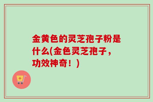 金黄色的灵芝孢子粉是什么(金色灵芝孢子,功效神奇!)