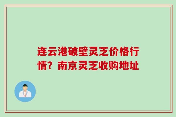 连云港破壁灵芝价格行情？南京灵芝收购地址