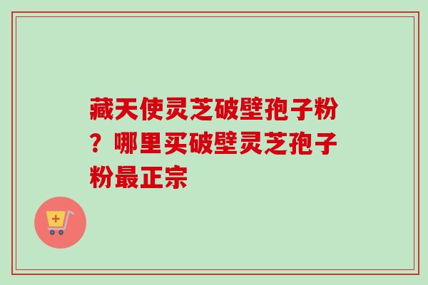 藏天使灵芝破壁孢子粉？哪里买破壁灵芝孢子粉最正宗