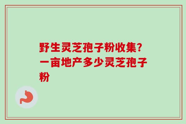 野生灵芝孢子粉收集？一亩地产多少灵芝孢子粉