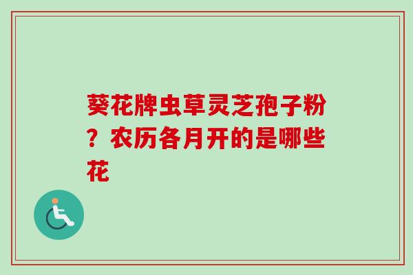葵花牌虫草灵芝孢子粉？农历各月开的是哪些花