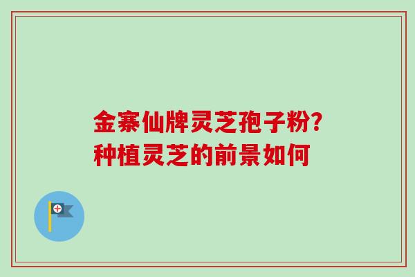 金寨仙牌灵芝孢子粉?种植灵芝的前景如何
