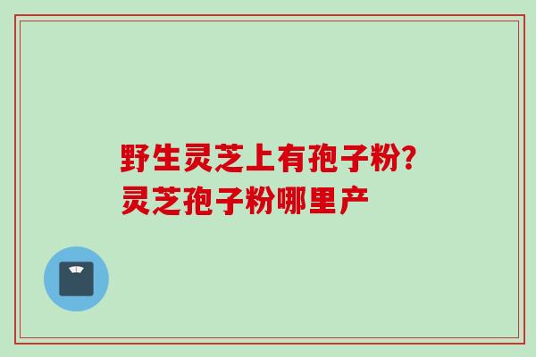 野生灵芝上有孢子粉?灵芝孢子粉哪里产