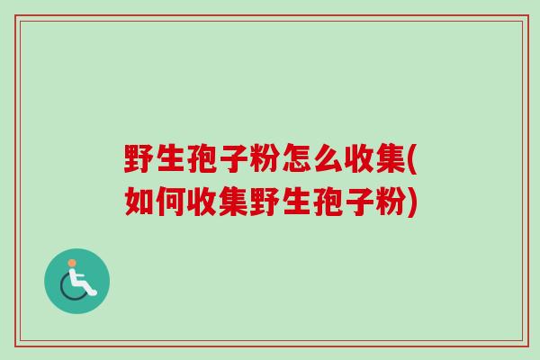 野生孢子粉怎么收集(如何收集野生孢子粉)