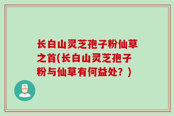 长白山灵芝孢子粉仙草之首(长白山灵芝孢子粉与仙草有何益处?)