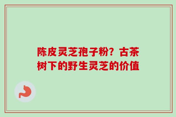 陈皮灵芝孢子粉？古茶树下的野生灵芝的价值
