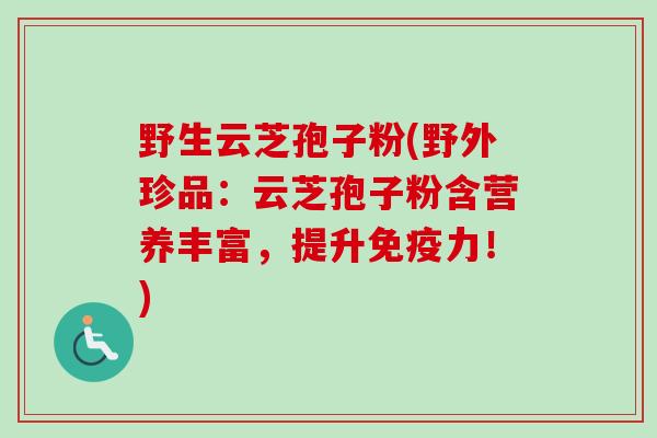 野生云芝孢子粉(野外珍品:云芝孢子粉含营养丰富,提升免疫力!)