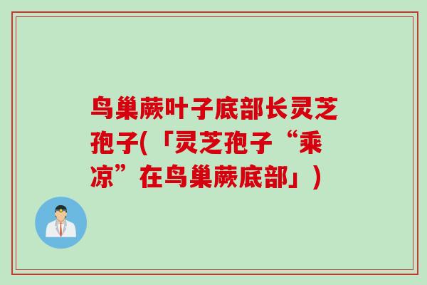 鸟巢蕨叶子底部长灵芝孢子(「灵芝孢子“乘凉”在鸟巢蕨底部」)