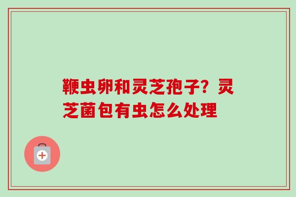 鞭虫卵和灵芝孢子？灵芝菌包有虫怎么处理