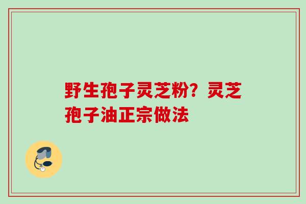 野生孢子灵芝粉？灵芝孢子油正宗做法
