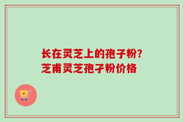 长在灵芝上的孢子粉？芝甫灵芝孢孑粉价格