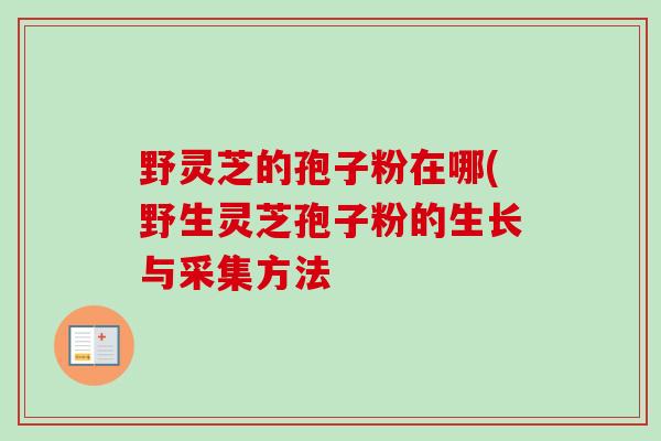 野灵芝的孢子粉在哪(野生灵芝孢子粉的生长与采集方法