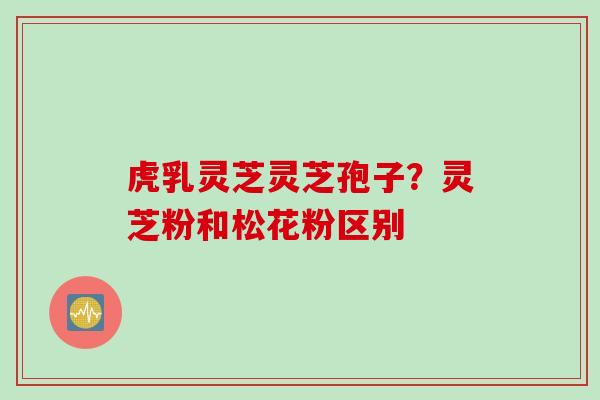 虎乳灵芝灵芝孢子？灵芝粉和松花粉区别