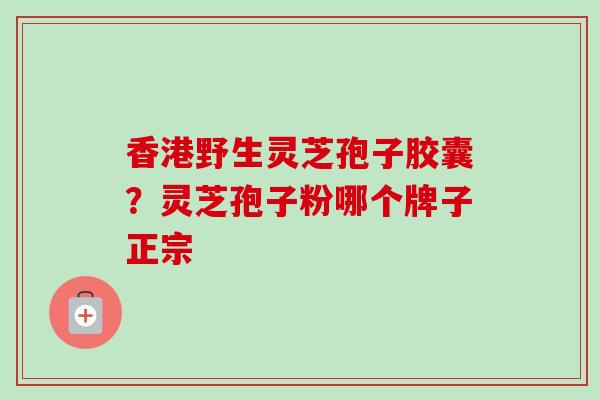 香港野生灵芝孢子胶囊？灵芝孢子粉哪个牌子正宗