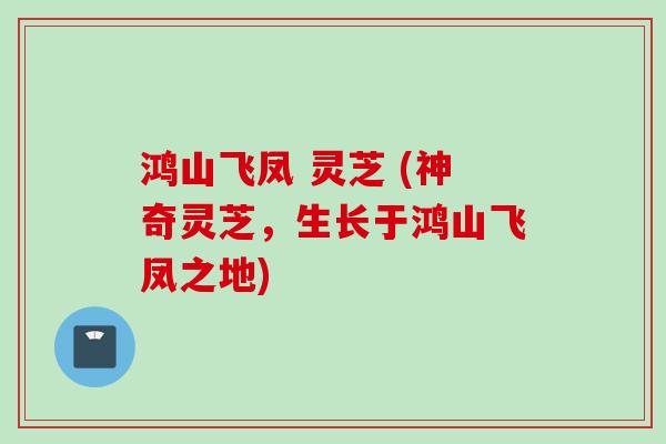 鸿山飞凤 灵芝 (神奇灵芝，生长于鸿山飞凤之地)