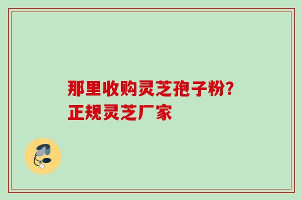 那里收购灵芝孢子粉？正规灵芝厂家