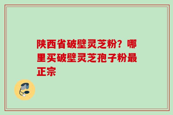 陕西省破壁灵芝粉？哪里买破壁灵芝孢子粉最正宗