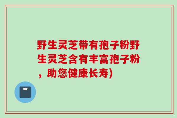 野生灵芝带有孢子粉野生灵芝含有丰富孢子粉，助您健康长寿)