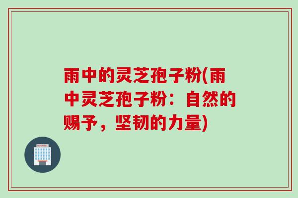 雨中的灵芝孢子粉(雨中灵芝孢子粉：自然的赐予，坚韧的力量)