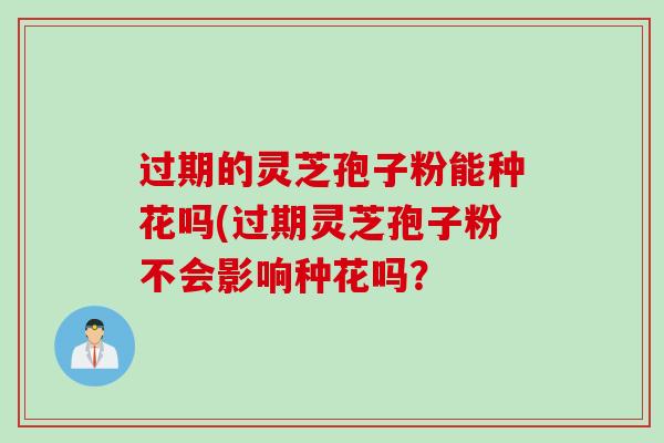 过期的灵芝孢子粉能种花吗(过期灵芝孢子粉不会影响种花吗?