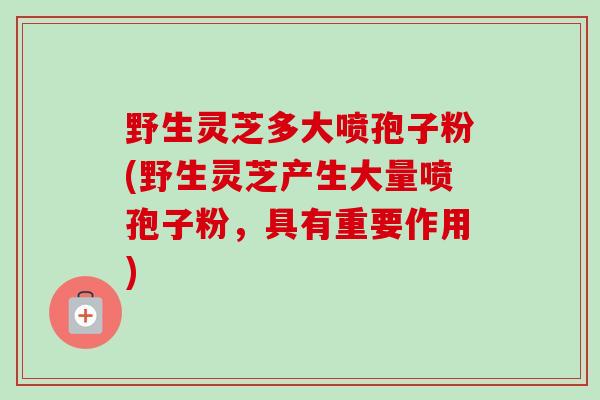 野生灵芝多大喷孢子粉(野生灵芝产生大量喷孢子粉，具有重要作用)