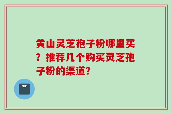 黄山灵芝孢子粉哪里买?推荐几个购买灵芝孢子粉的渠道?