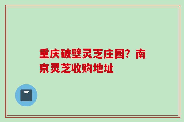 重庆破壁灵芝庄园？南京灵芝收购地址