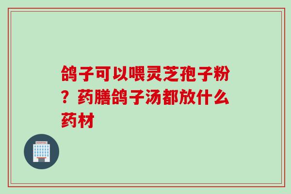 鸽子可以喂灵芝孢子粉？药膳鸽子汤都放什么药材