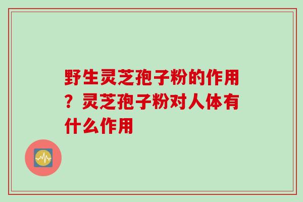 野生灵芝孢子粉的作用？灵芝孢子粉对人体有什么作用