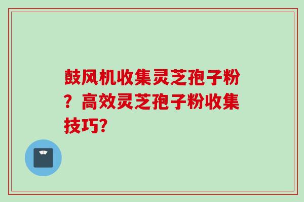 鼓风机收集灵芝孢子粉?高效灵芝孢子粉收集技巧?
