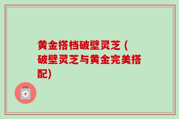 黄金搭档破壁灵芝 (破壁灵芝与黄金完美搭配)