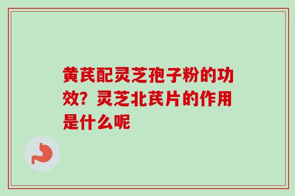 黄芪配灵芝孢子粉的功效?灵芝北芪片的作用是什么呢